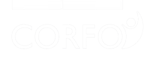 logo-corfo-300x114